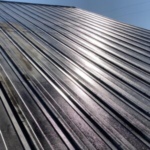 Pressure Washing Roof Services