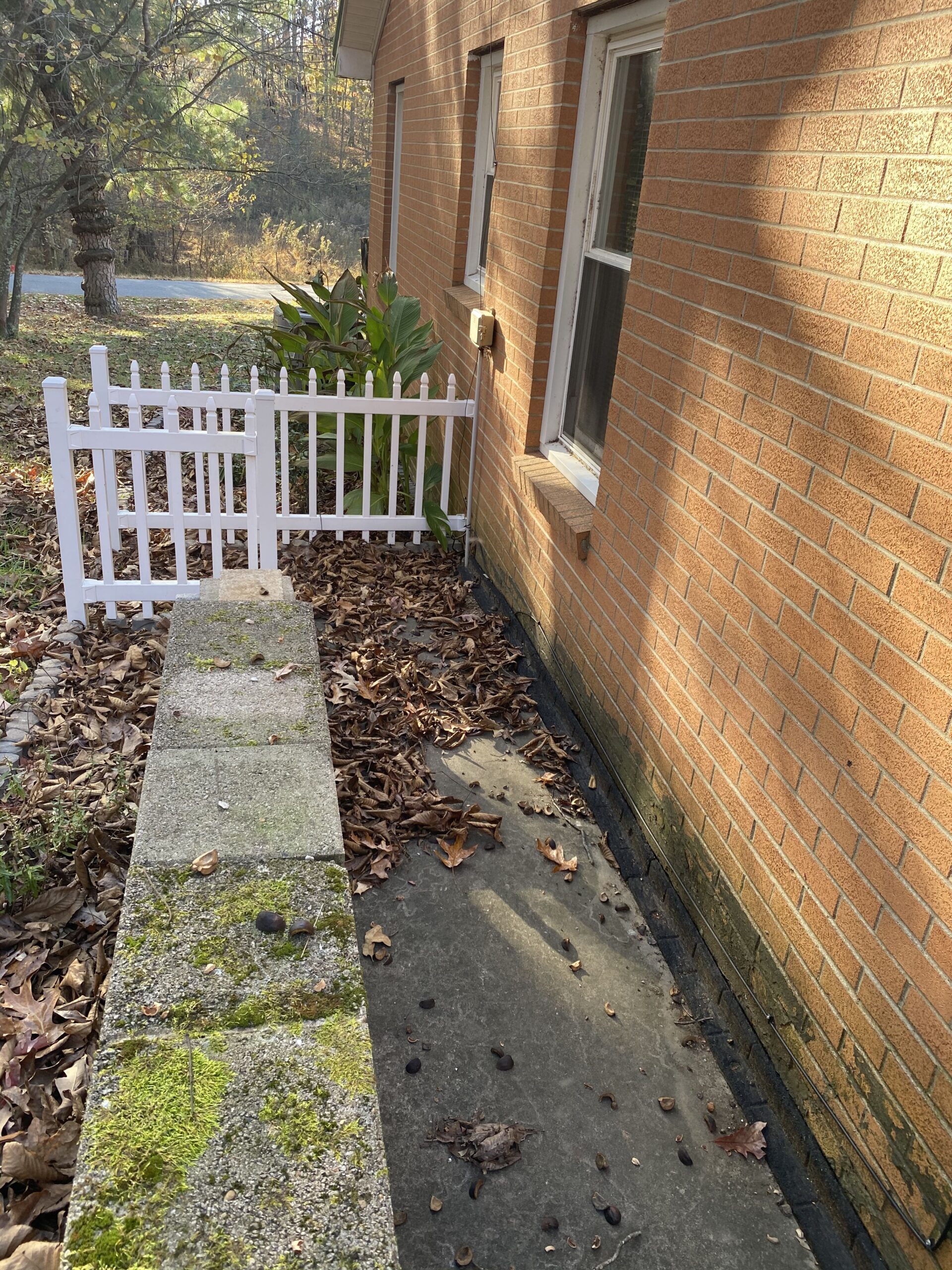 Residential Pressure Washing Service